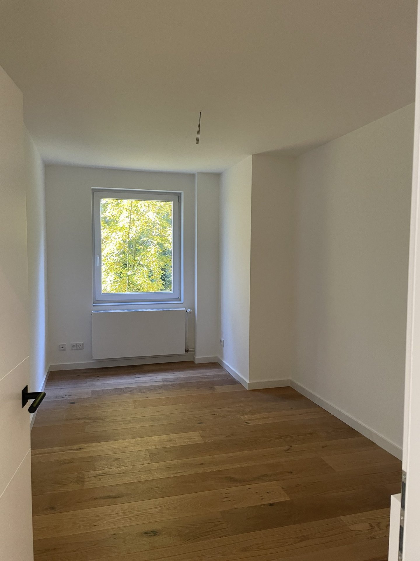 Alsterdorf mit Alsterblick – Nachher